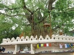 Kelaniya